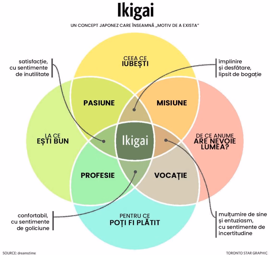 Ikigai despre sensul vieții sau despre sensul din fiecare zi infographic Ikigai despre sensul vieții sau despre sensul din fiecare zi infographic